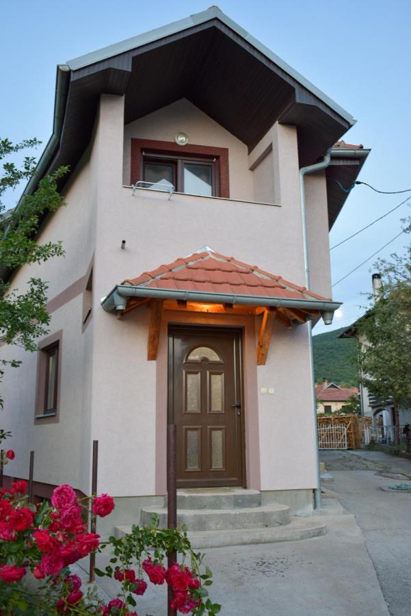 Apartman Jovana Soko Banja Esterno foto